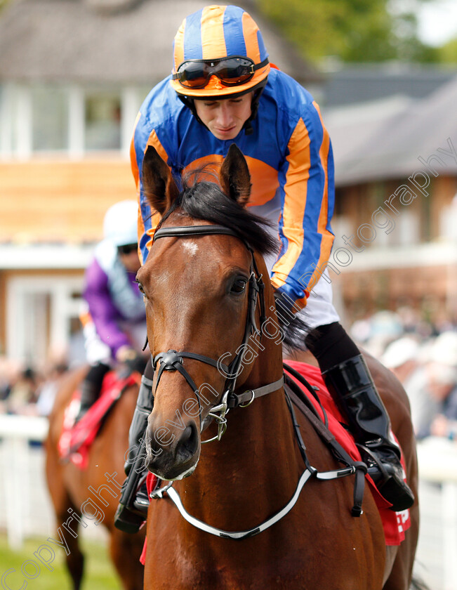 James-Cook-0001 
 JAMES COOK (Ryan Moore)
York 17 May 2018 - Pic Steven Cargill / Racingfotos.com