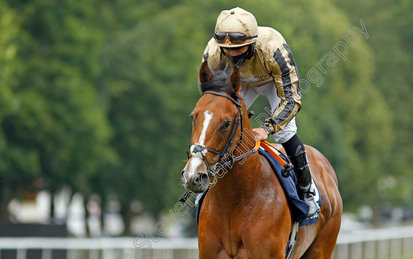 Sam-Maximus-0001 
 SAM MAXIMUS (P J McDonald)
Newmarket 8 Jul 2021 - Pic Steven Cargill / Racingfotos.com