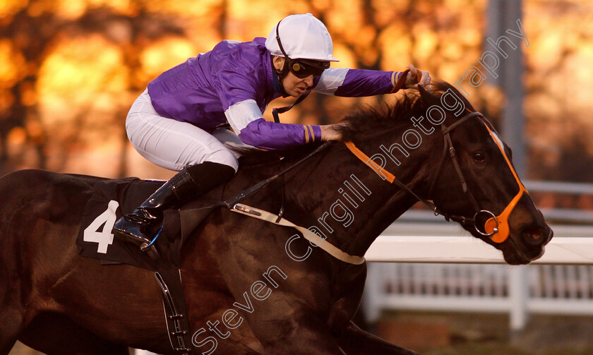 Fen-Breeze-0005 
 FEN BREEZE (Nicky Mackay) wins The £20 Free Bets At totesport.com Novice Stakes
Chelmsford 20 Feb 2019 - Pic Steven Cargill / Racingfotos.com