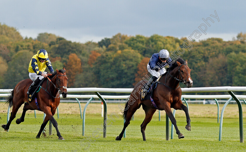 Set-Point-0002 
 SET POINT (Ben Curtis) beats ENCOUNTER ORDER (left) in The EBF Maiden Stakes
Nottingham 14 Oct 2020 - Pic Steven Cargill / Racingfotos.com