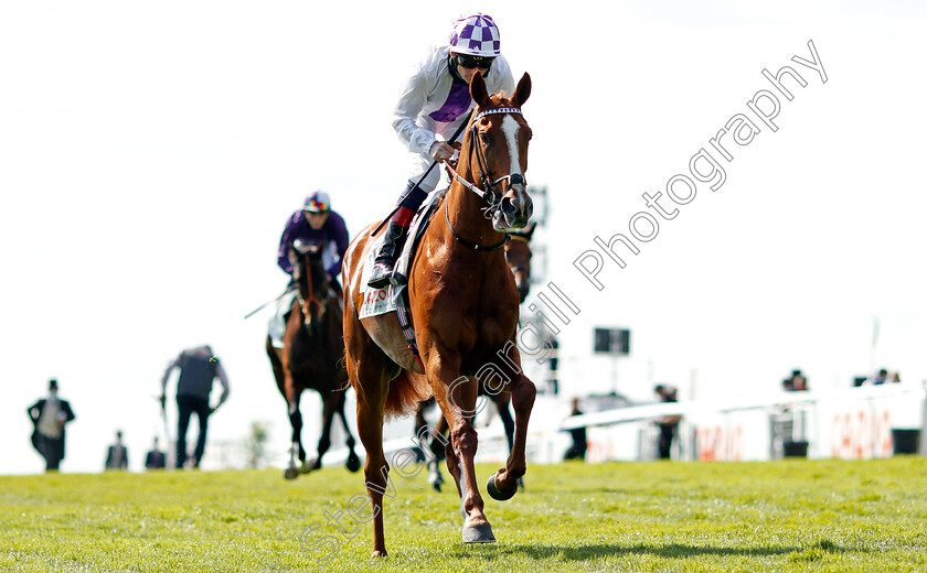 Mac-Swiney-0001 
 MAC SWINEY (Kevin Manning)
Epsom 5 Jun 2021 - Pic Steven Cargill / Racingfotos.com