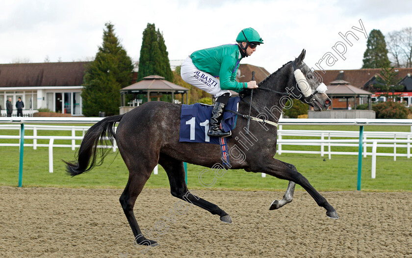 Cheese-The-One 
 CHEESE THE ONE (Jack Mitchell)
Lingfield 1 Dec 2021 - Pic Steven Cargill / Racingfotos.com