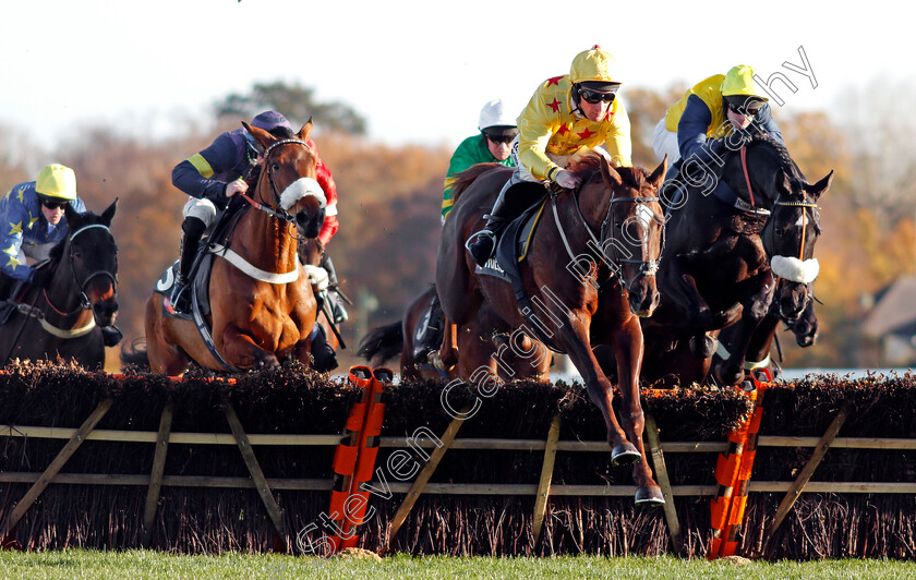 Count-Meribel-0003 
 COUNT MERIBEL (Mark Grant) wins The Mitie Events & Leisure Novices Hurdle Ascot 25 Nov 2017 - Pic Steven Cargill / Racingfotos.com