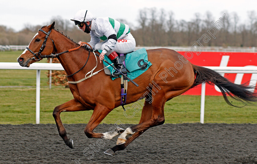 Aventuriere-0002 
 AVENTURIERE (Franny Norton) wins The Play Ladbrokes 1-2-Free On Football Handicap Div1
Kempton 27 Mar 2021 - Pic Steven Cargill / Racingfotos.com