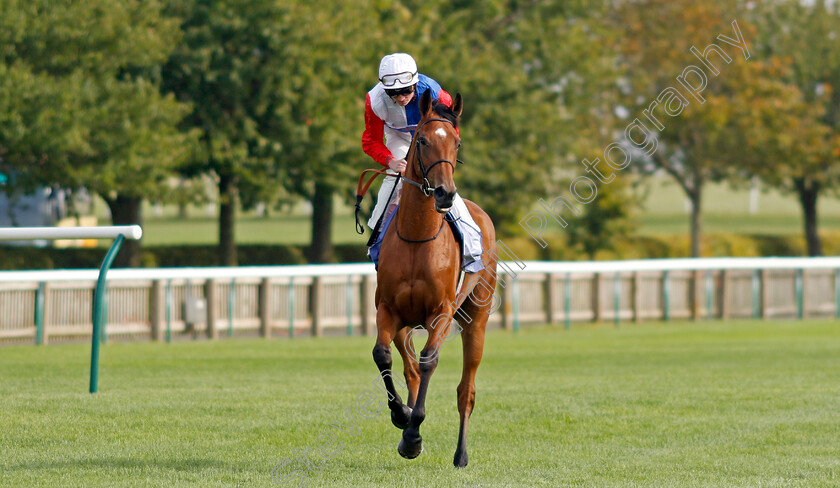 Fair-Point-0002 
 FAIR POINT (Rob Hornby)
Newmarket 27 Sep 2024 - Pic Steven Cargill / Racingfotos.com