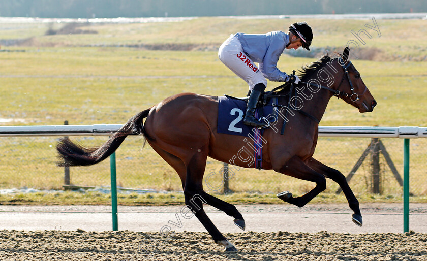 New-Orleans-0002 
 NEW ORLEANS (Josephine Gordon) Lingfield 27 Feb 2018 - pic Steven Cargill / Racingfotos.com