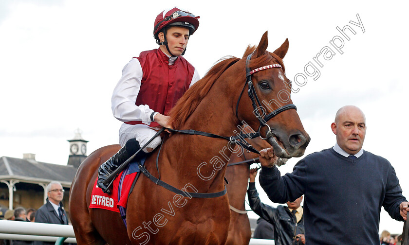 Royal-Line-0002 
 ROYAL LINE (William Buick) Doncaster 11 Nov 2017 - Pic Steven Cargill / Racingfotos.com