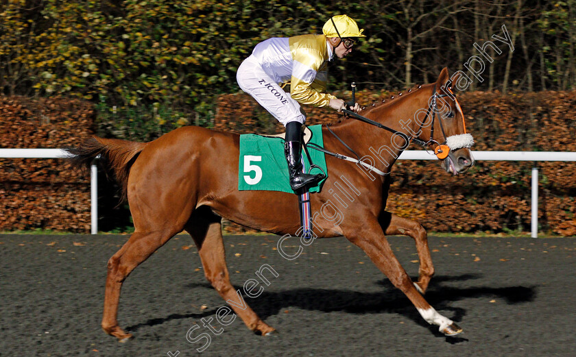 London-Protocol-0001 
 LONDON PROTOCOL (Tony Piccone) Kempton 22 Nov 2017 - Pic Steven Cargill / Racingfotos.com