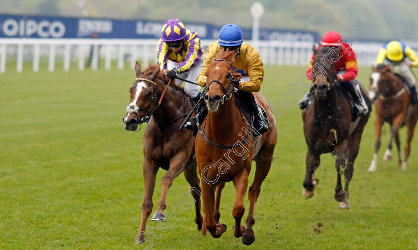 Two-Tempting-0003 
 TWO TEMPTING (Olivia Tubb) wins The Manny Mercer Apprentice Handicap
Ascot 1 May 2024 - Pic Steven Cargill / Racingfotos.com