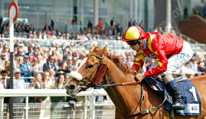 Gale-Force-Maya-0003 
 GALE FORCE MAYA (Connor Beasley) wins The British EBF Supporting Racing With Pride Fillies Handicap
York 10 Jun 2022 - Pic Steven Cargill / Racingfotos.com