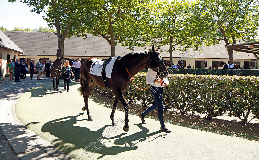 Artorius-0008 
 ARTORIUS
Deauville 7 Aug 2022 - Pic Steven Cargill / Racingfotos.com