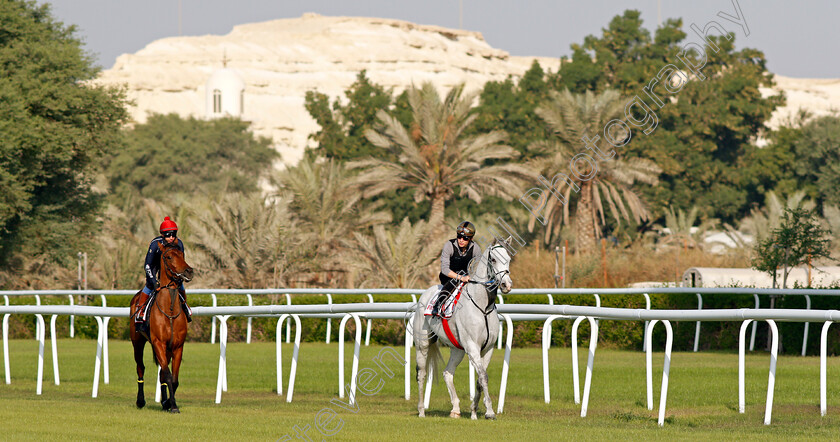 Lord-Glitters-and-Fev-Rover-0004 
 LORD GLITTERS (Jason Watson) leads FEV ROVER (Paddy Mathers) exercising in preparation for Friday's Bahrain International Trophy
Sakhir Racecourse, Bahrain 17 Nov 2021 - Pic Steven Cargill / Racingfotos.com