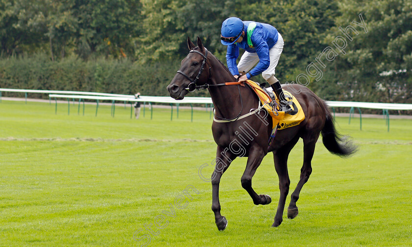 Hochfeld-0001 
 HOCHFELD (Joe Fanning)
Haydock 4 Sep 2021 - Pic Steven Cargill / Racingfotos.com