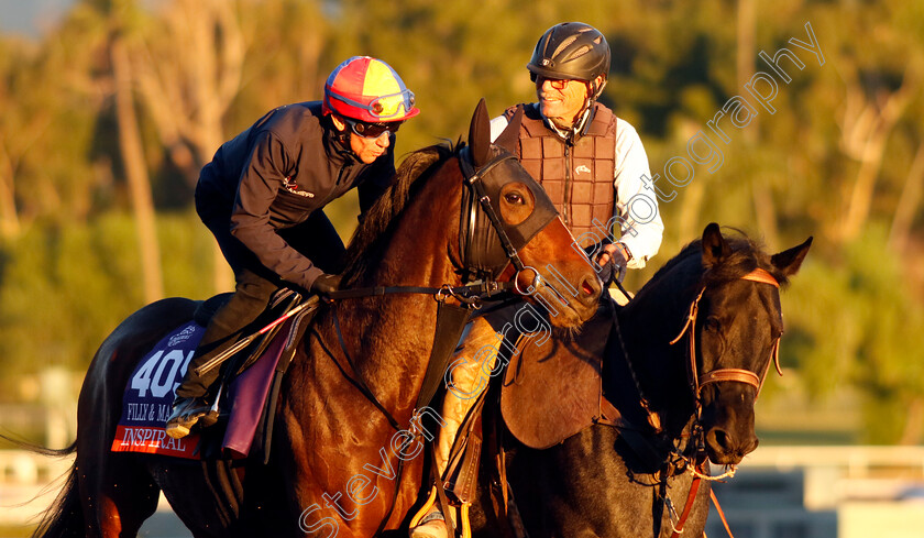 Inspiral-0003 
 INSPIRAL (Frankie Dettori) training for The Breeders' Cup Filly & Mare Turf
Santa Anita USA, 31 October 2023 - Pic Steven Cargill / Racingfotos.com