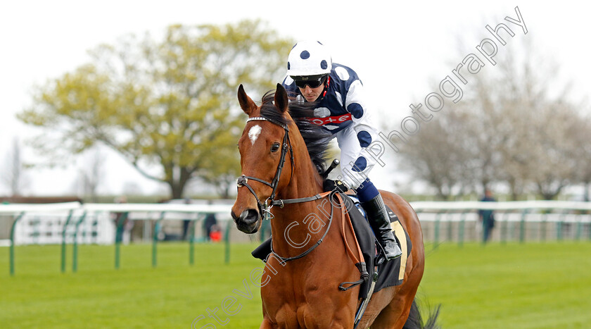 Rebel-Territory-0005 
 REBEL TERRITORY (Jim Crowley) winner of The National Stud Handicap
Newmarket 18 Apr 2023 - Pic Steven Cargill / Racingfotos.com