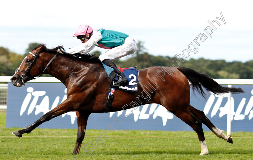 First-Eleven-0006 
 FIRST ELEVEN (Robert Havlin) wins The Lavazza Handicap
Ascot 8 Sep 2018 - Pic Steven Cargill / Racingfotos.com