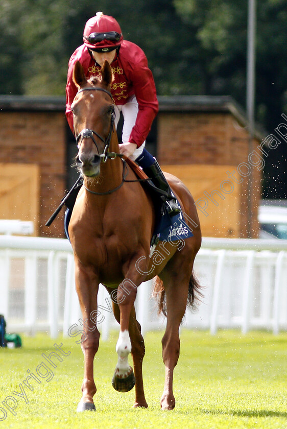 South-Seas-0001 
 SOUTH SEAS (Oisin Murphy)
Salisbury 16 Aug 2018 - Pic Steven Cargill / Racingfotos.com