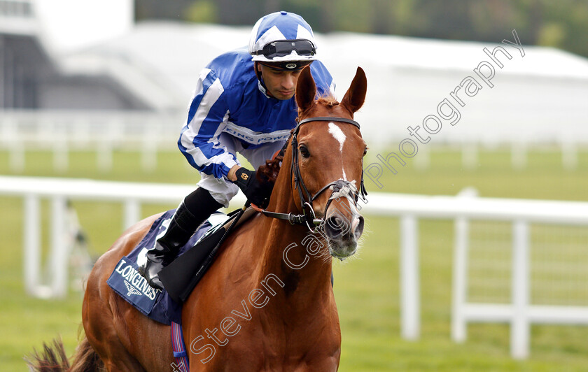 Cleonte-0001 
 CLEONTE (Silvestre De Sousa)
Ascot 1 May 2019 - Pic Steven Cargill / Racingfotos.com