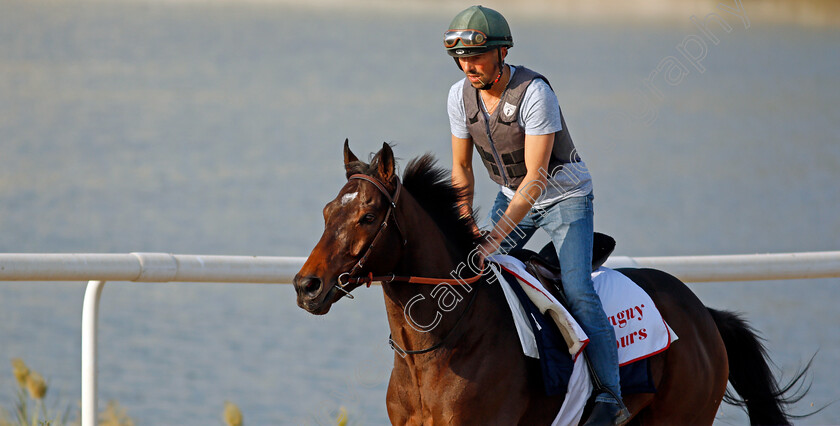 Magny-Cours-0004 
 MAGNY COURS exercising in preparation for Friday's Bahrain International Trophy
Sakhir Racecourse, Bahrain 18 Nov 2021 - Pic Steven Cargill / Racingfotos.com