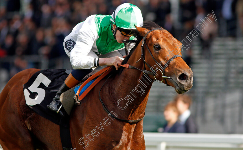 Mountain-Angel-0008 
 MOUNTAIN ANGEL (David Egan) wins The Manny Mercer Apprentice Handicap Ascot 2 May 2018 - Pic Steven Cargill / Racingfotos.com