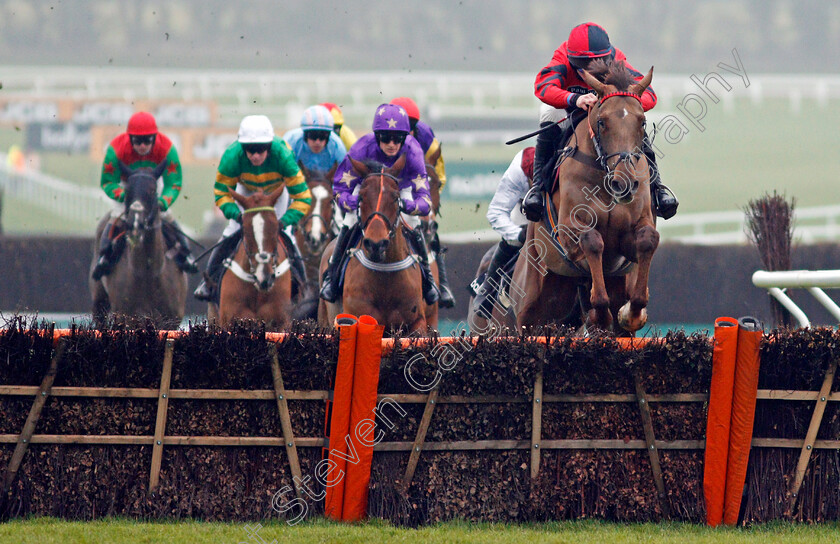 House-Island-0001 
 HOUSE ISLAND (Gavin Sheehan)
Cheltenham 25 Jan 2020 - Pic Steven Cargill / Racingfotos.com