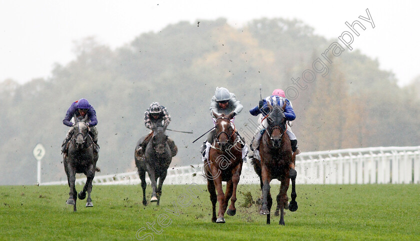 Laraaib-0001 
 LARAAIB (right, Jim Crowley) beats COMMUNIQUE (left) in The Stella Artois Cumberland Lodge Stakes
Ascot 6 Oct 2018 - Pic Steven Cargill / Racingfotos.com