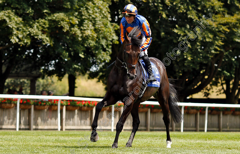 Sioux-Nation-0002 
 SIOUX NATION (Seamie Heffernan)
Newmarket 14 Jul 2018 - Pic Steven Cargill / Racingfotos.com