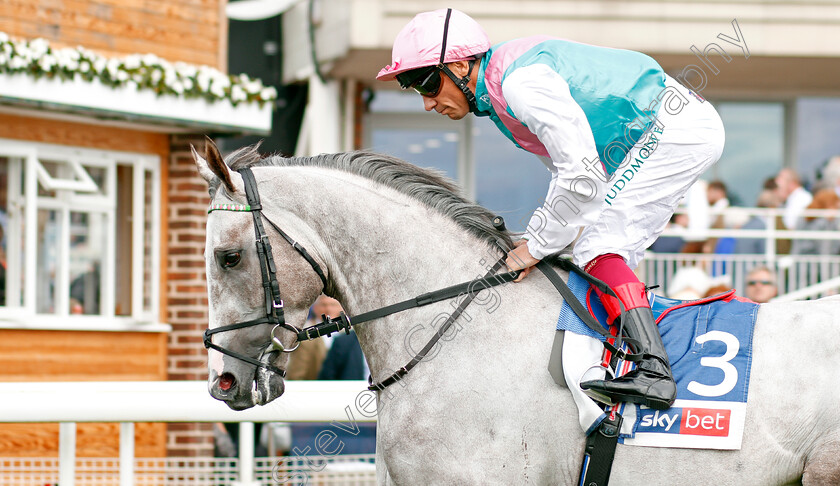 Logician-0004 
 LOGICIAN (Frankie Dettori) before The Sky Bet Great Voltigeur Stakes
York 21 Aug 2019 - Pic Steven Cargill / Racingfotos.com