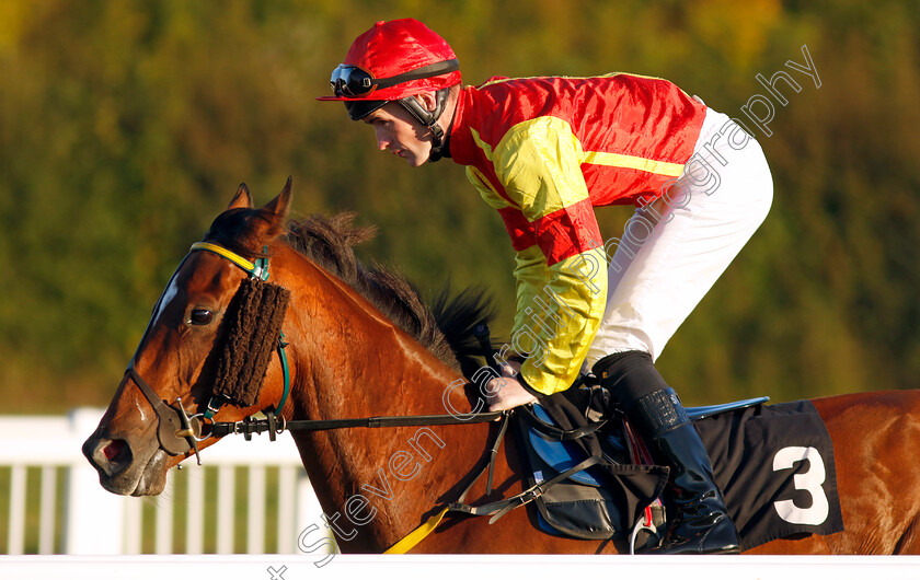 Grand-Duchess-Olga-0001 
 GRAND DUCHESS OLGA (Dylan Hogan)
Chelmsford 3 Oct 2024 - Pic Steven Cargill / Racingfotos.com