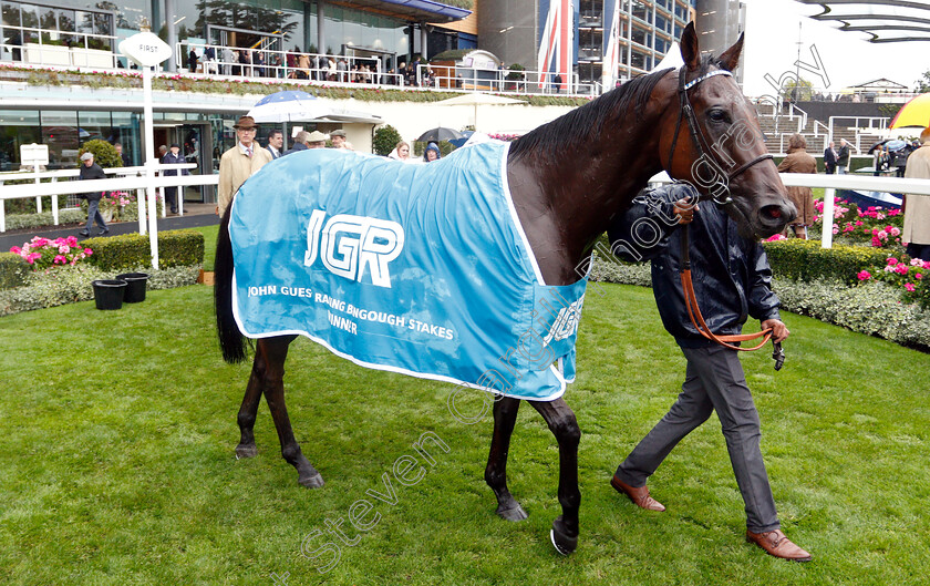 Projection-0009 
 PROJECTION after The John Guest Racing Bengough Stakes
Ascot 6 Oct 2018 - Pic Steven Cargill / Racingfotos.com