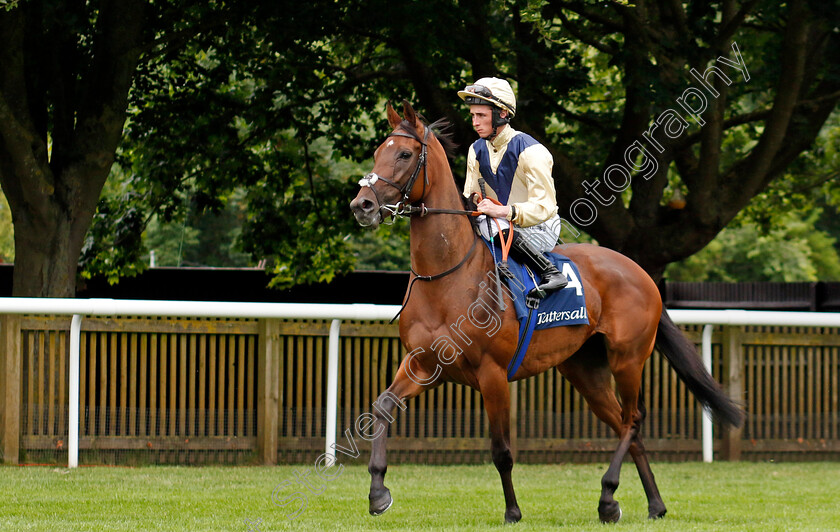 Sirona-0001 
 SIRONA (Rossa Ryan)
Newmarket 12 Jul 2024 - Pic Steven Cargill / Racingfotos.com