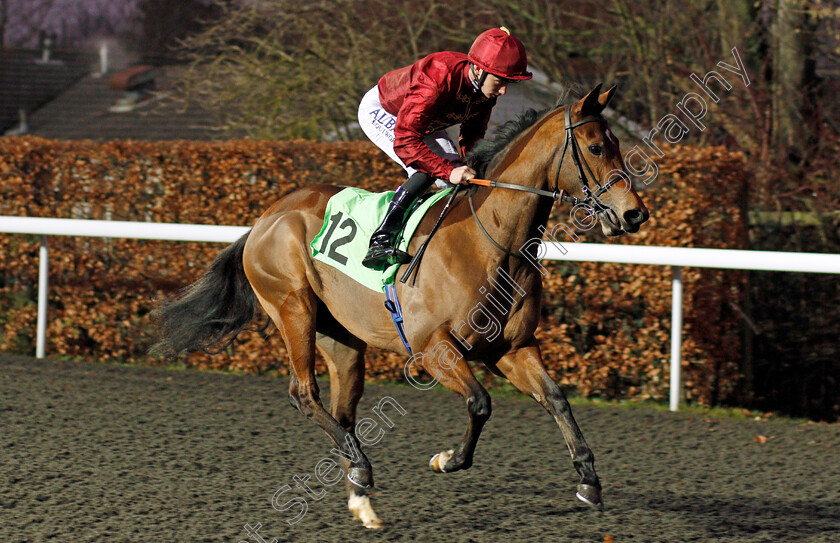 Worship-0001 
 WORSHIP (Oisin Murphy) winner of The Cindy Fuller Novice Median Auction Stakes Kempton 20 Dec 2017 - Pic Steven Cargill / Racingfotos.com