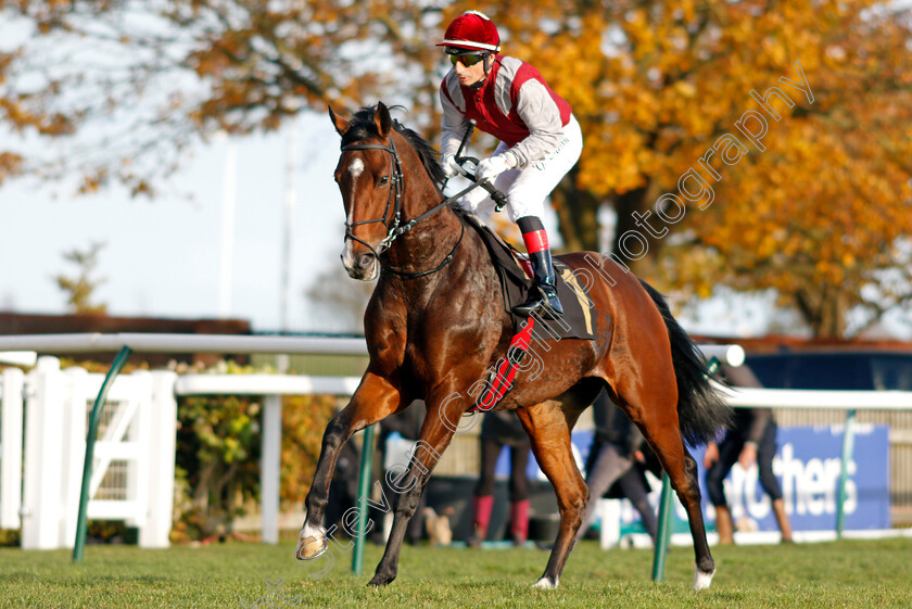 Monty-0002 
 MONTY (Gerald Mosse)
Newmarket 30 Oct 2021 - Pic Steven Cargill / Racingfotos.com