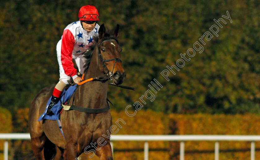 Galata-Bridge-0002 
 GALATA BRIDGE (Andrea Atzeni)
Kempton 10 Nov 2021 - Pic Steven Cargill / Racingfotos.com