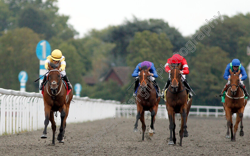 Quiet-Endeavour-0001 
 QUIET ENDEAVOUR (left, Hollie Doyle) wins The Call Star Sports On 08000 521 321 Nursery
Kempton 15 Aug 2018 - Pic Steven Cargill / Racingfotos.com