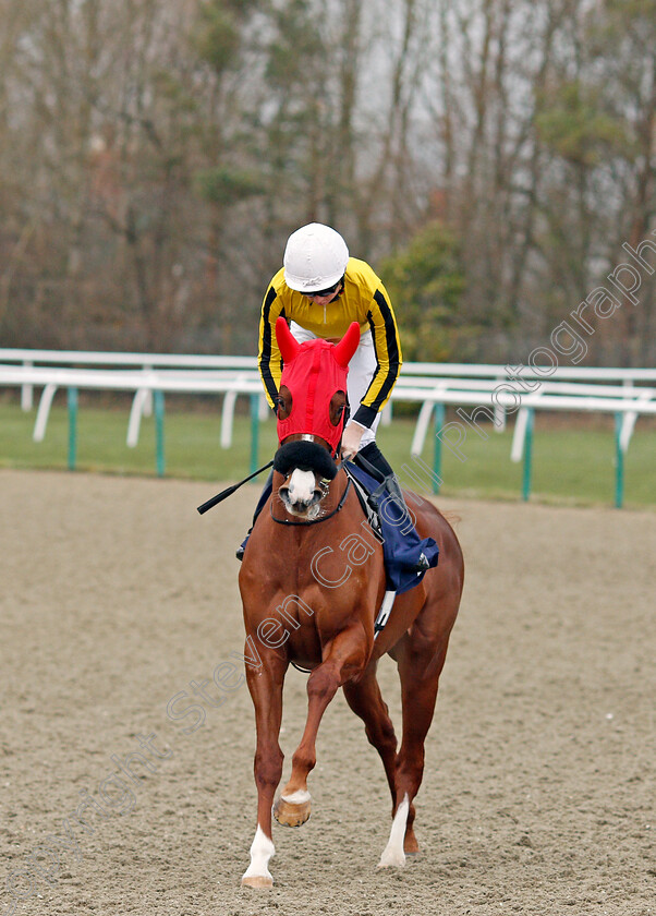 Amazing-News-0001 
 AMAZING NEWS (Callum Shepherd) in red hood to be removed at the start
Lingfield 14 Feb 2020 - Pic Steven Cargill / Racingfotos.com