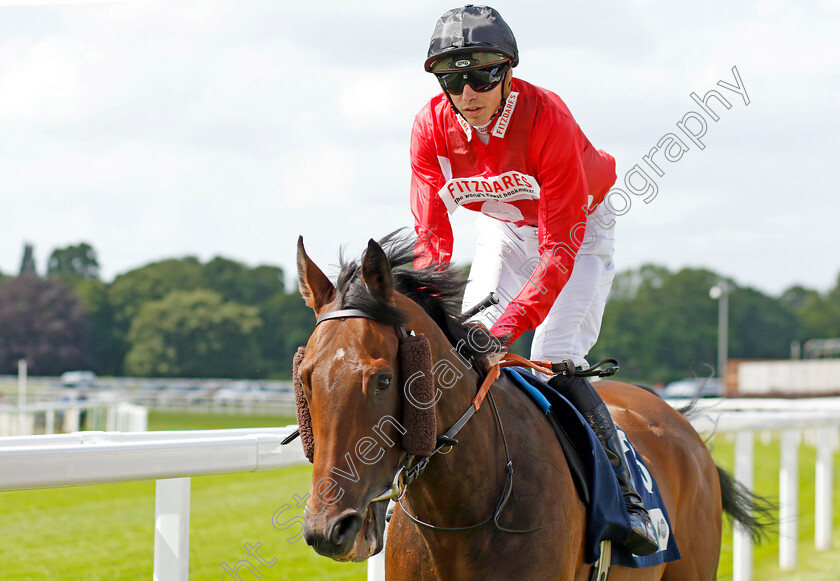 Mountain-Brave 
 MOUNTAIN BRAVE (James Doyle)
York 10 Jun 2022 - Pic Steven Cargill / Racingfotos.com