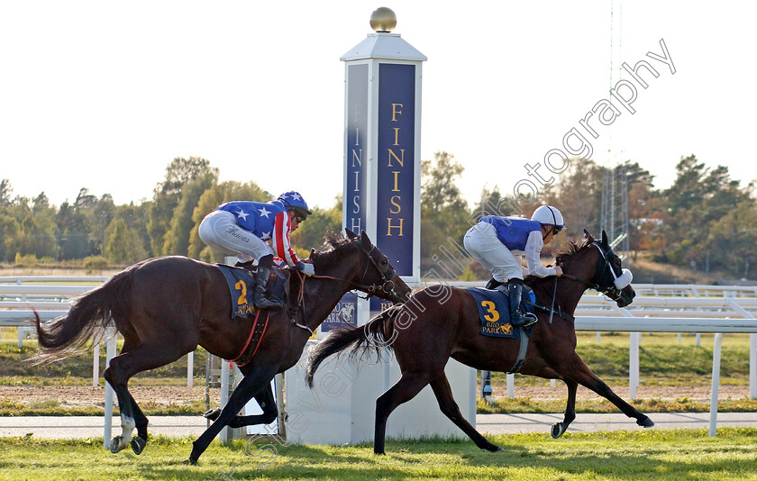 Crystal-Love-0001 
 CRYSTAL LOVE (Sandro De Paiva) wins The Appel Au Maitre Svealandlopning
Bro Park, Sweden , 15 Sep 2024 - Pic Steven Cargill / Racingfotos.com