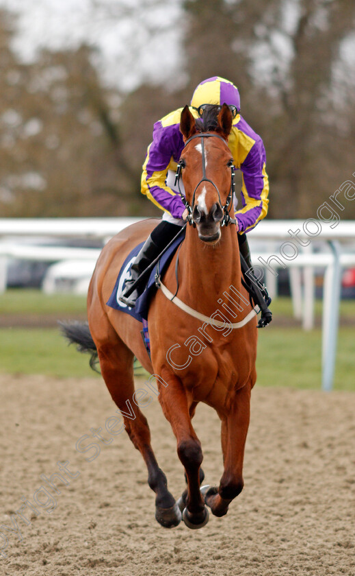 Pop-The-Confetti-0001 
 POP THE CONFETTI (Hector Crouch)
Lingfield 22 Feb 2020 - Pic Steven Cargill / Racingfotos.com