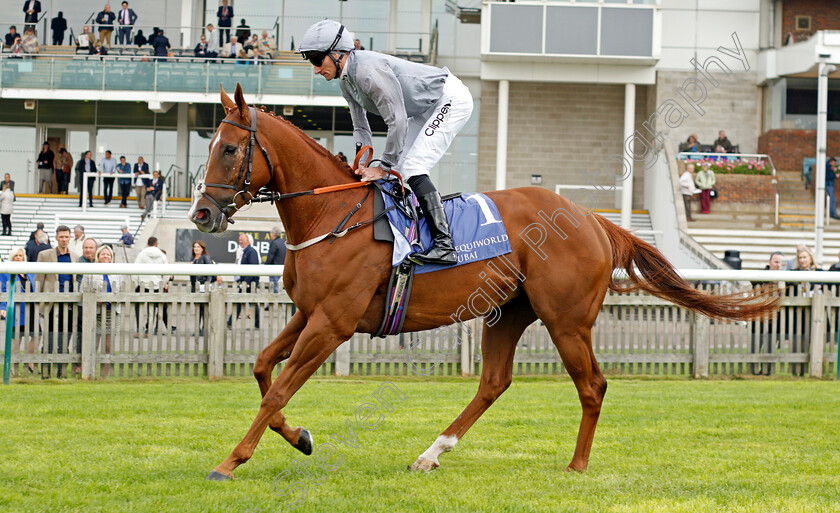 Improvised-0001 
 IMPROVISED (Daniel Tudhope)
Newmarket 23 Sep 2022 - Pic Steven Cargill / Racingfotos.com