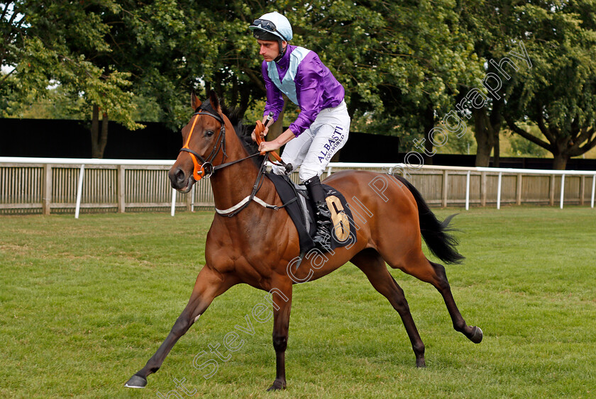 Rum-Cocktail-0001 
 RUM COCKTAIL (Adam Kirby) winner of The Rich Energy Fillies Novice Stakes
Newmarket 6 Aug 2021 - Pic Steven Cargill / Racingfotos.com