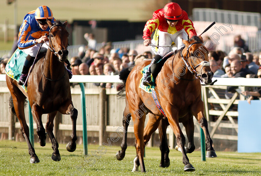 Iridessa-0007 
 IRIDESSA (Wayne Lordan) beats HERMOSA (left) in The bet365 Fillies Mile
Newmarket 12 Oct 2018 - Pic Steven Cargill / Racingfotos.com