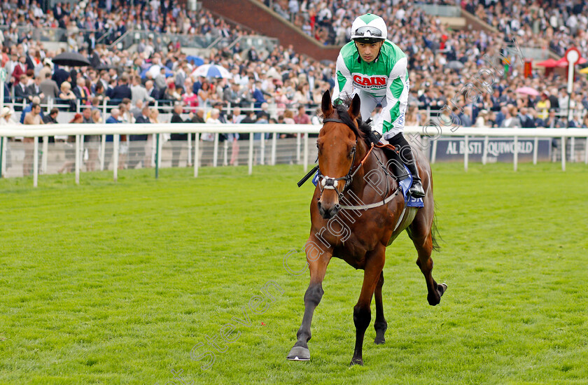 Doctor-Parnassus-0001 
 DOCTOR PARNASSUS (Silvestre De Sousa)
York 21 Aug 2021 - Pic Steven Cargill / Racingfotos.com