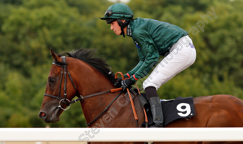 Master-Poet-0001 
 MASTER POET (Jonathan Fisher)
Chelmsford 24 Jul 2018 - Pic Steven Cargill / Racingfotos.com