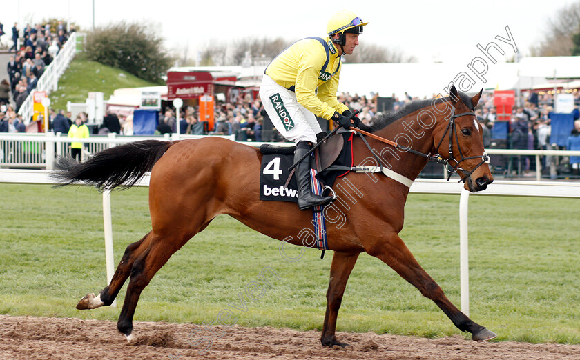 Lostintranslation-0001 
 LOSTINTRANSLATION (Robbie Power) winner of The Betway Mildmay Novices Chase
Aintree 5 Apr 2019 - Pic Steven Cargill / Racingfotos.com