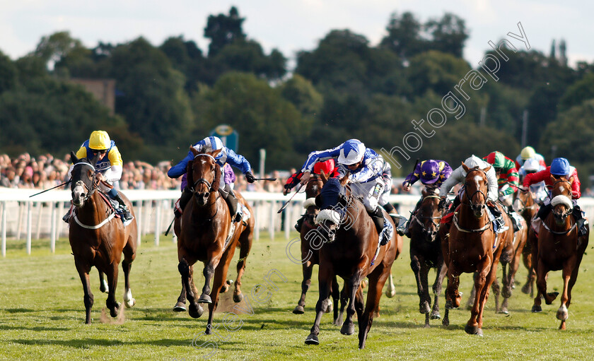 Pivoine-0001 
 PIVOINE (Jason Watson) beats ALFARRIS (2nd left) in The Sky Bet Handicap
York 25 Aug 2018 - Pic Steven Cargill / Racingfotos.com