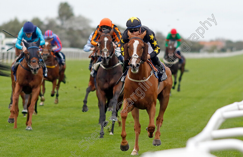 Tarbaan-0003 
 TARBAAN (Kevin Stott) wins The EAAA East Coast Air Ambulance Handicap
Yarmouth 19 Sep 2023 - Pic Steven Cargill / Racingfotos.com