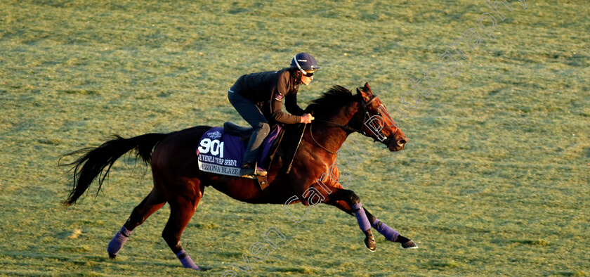 Arizona-Blaze-0001 
 ARIZONA BLAZE training for the Breeders' Cup Juvenile Turf Sprint
Del Mar USA 30 Oct 2024 - Pic Steven Cargill / Racingfotos.com