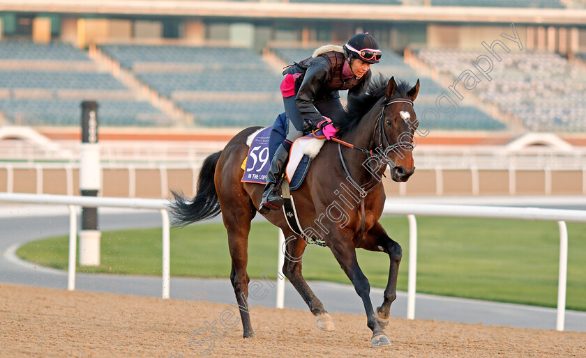 In-The-Lope-0002 
 IN THE LOPE, trained by Pia Brandt, exercising in preparation for The Dubai World Cup Carnival, Meydan 18 Jan 2018 - Pic Steven Cargill / Racingfotos.com