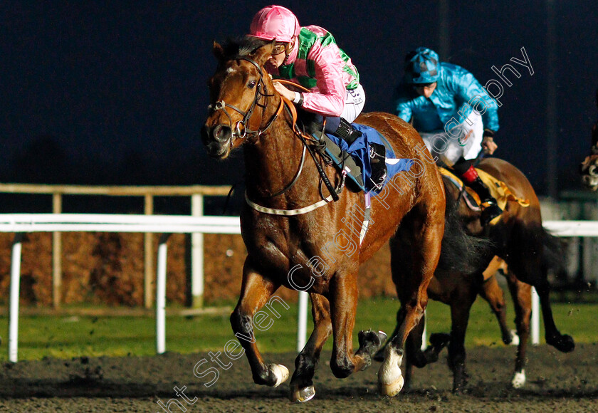 Adelaise-0003 
 ADELAISE (David Probert) wins The Unibet Supporting Safe Gambling Fillies Novice Stakes
Kempton 2 Mar 2022 - Pic Steven Cargill / Racingfotos.com